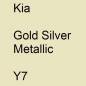 Preview: Kia, Gold Silver Metallic, Y7.